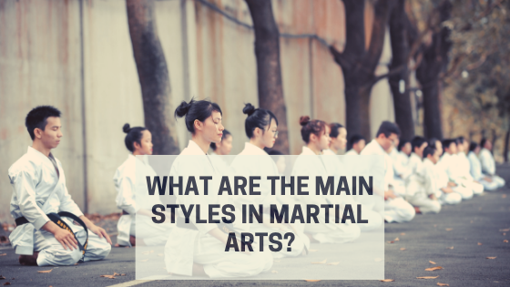 Styles In Martial Arts